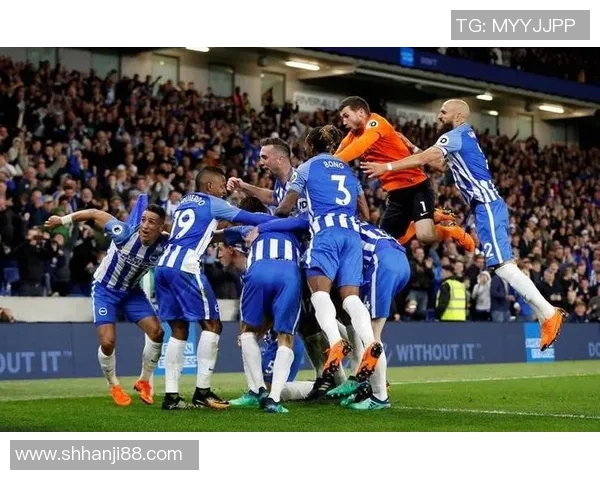 伯明翰对阵布伦特福德精彩赛事直播全程回顾与分析 伯明翰对阵布伦特福德精彩赛事直播全程回顾与分析