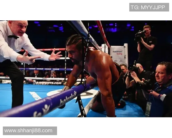 托尼贝柳与海耶的巅峰对决谁能笑到最后揭开拳坛新篇章