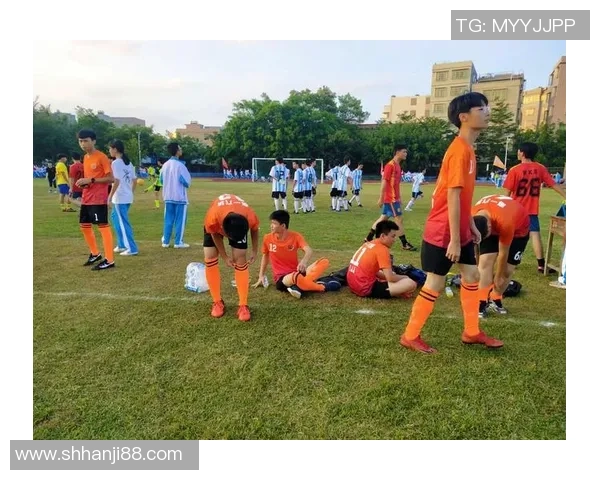 谢什科的传奇人生与足球之路探秘解析