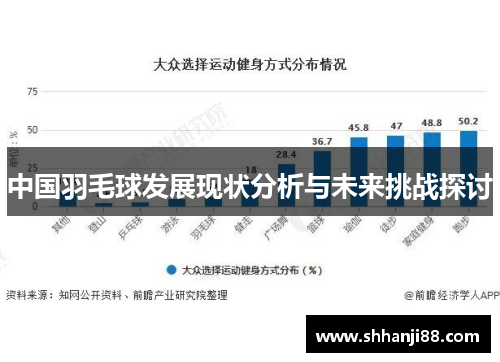 中国羽毛球发展现状分析与未来挑战探讨