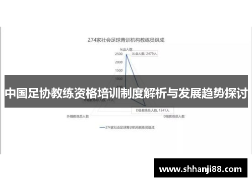 中国足协教练资格培训制度解析与发展趋势探讨
