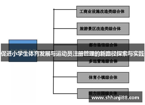 促进小学生体育发展与运动员注册管理的新路径探索与实践