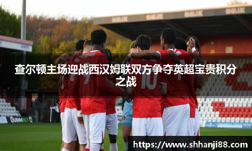 球速体育在线登录